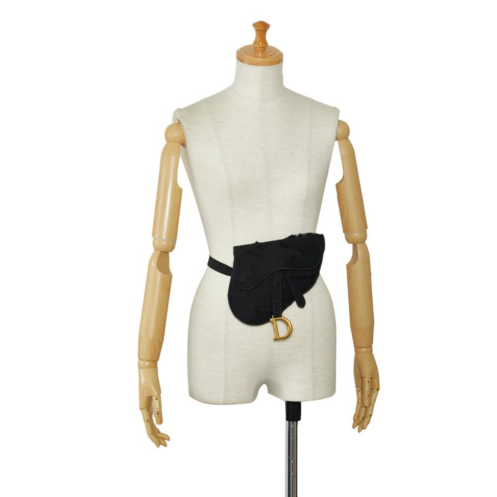 Dior Belt Bag