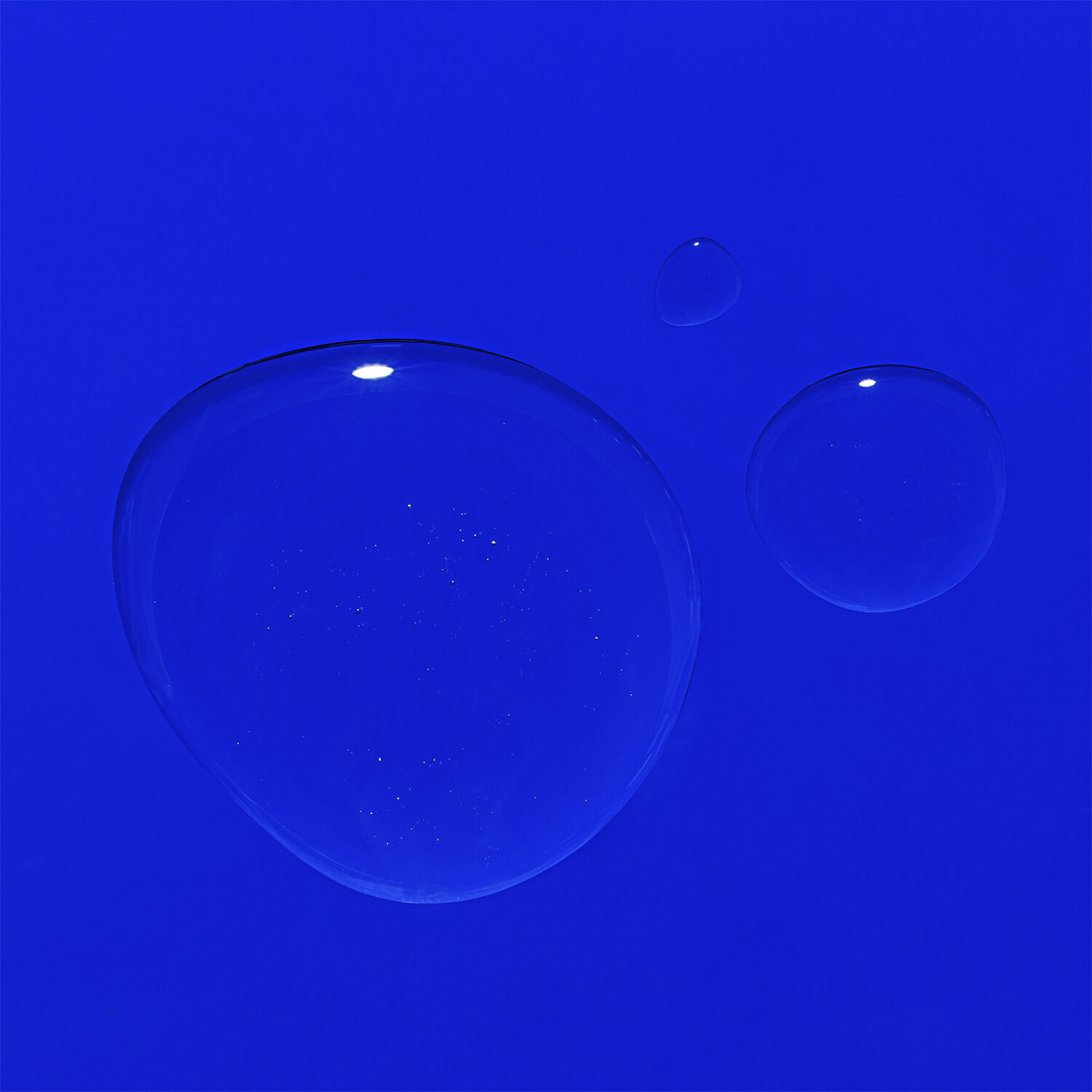 The Geranium Rose Body Oil