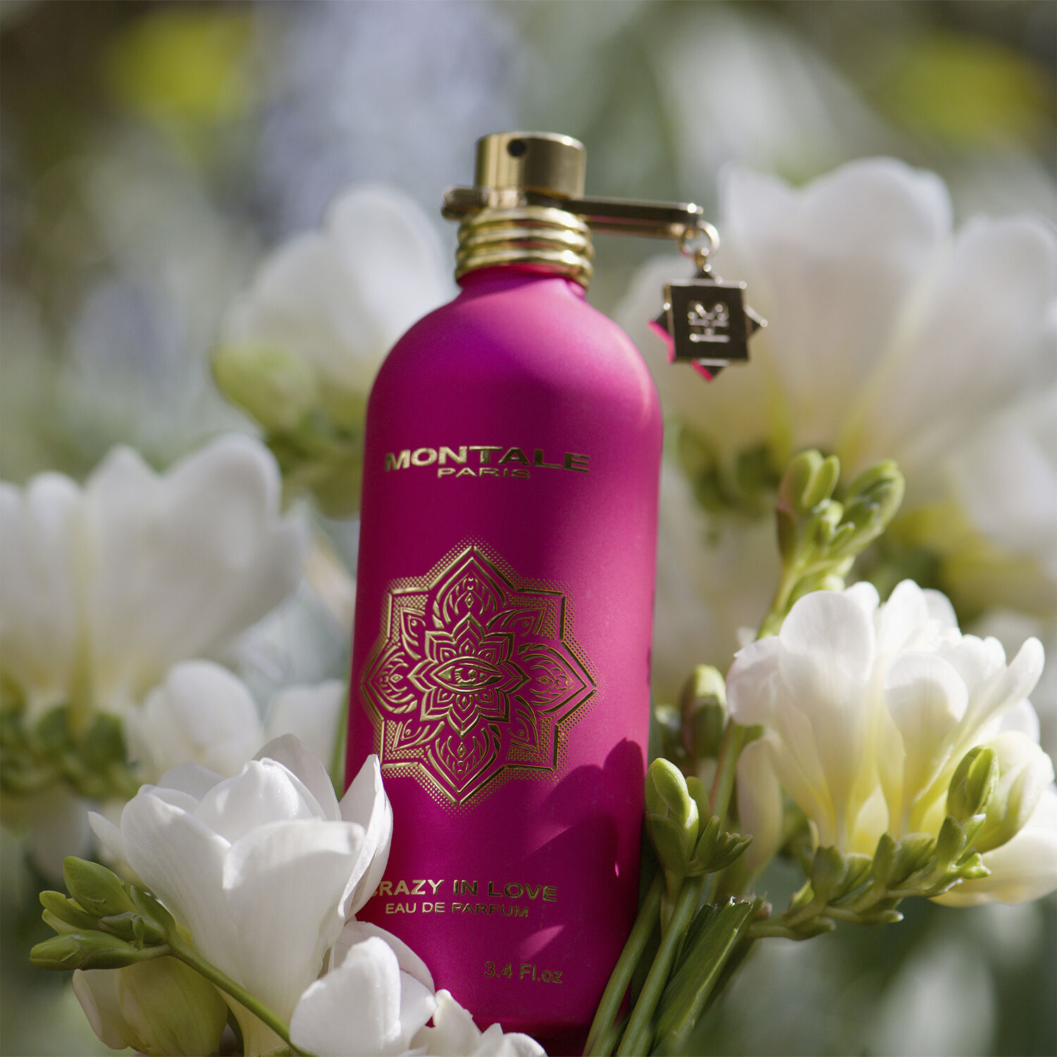 Crazy in Love EdP 100 ml