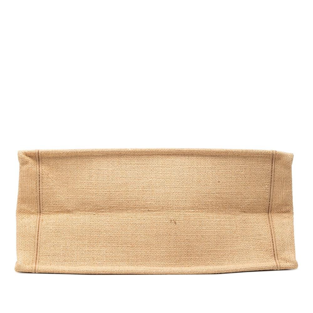 Dior Book Tote