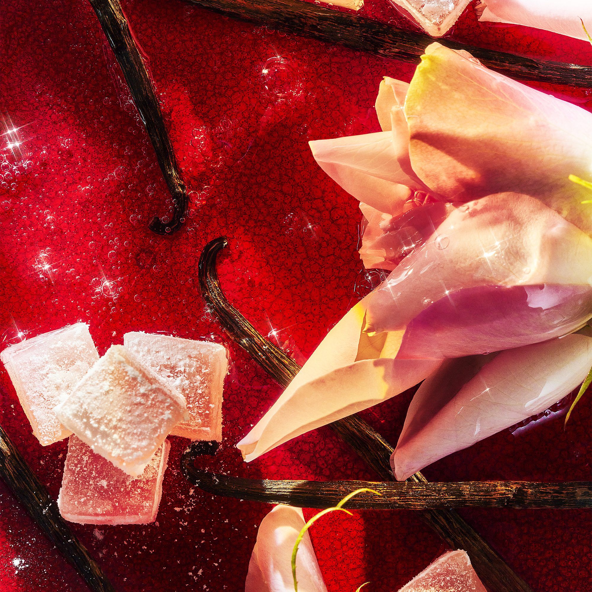 Roja N&uuml;wa Edp 100 ml