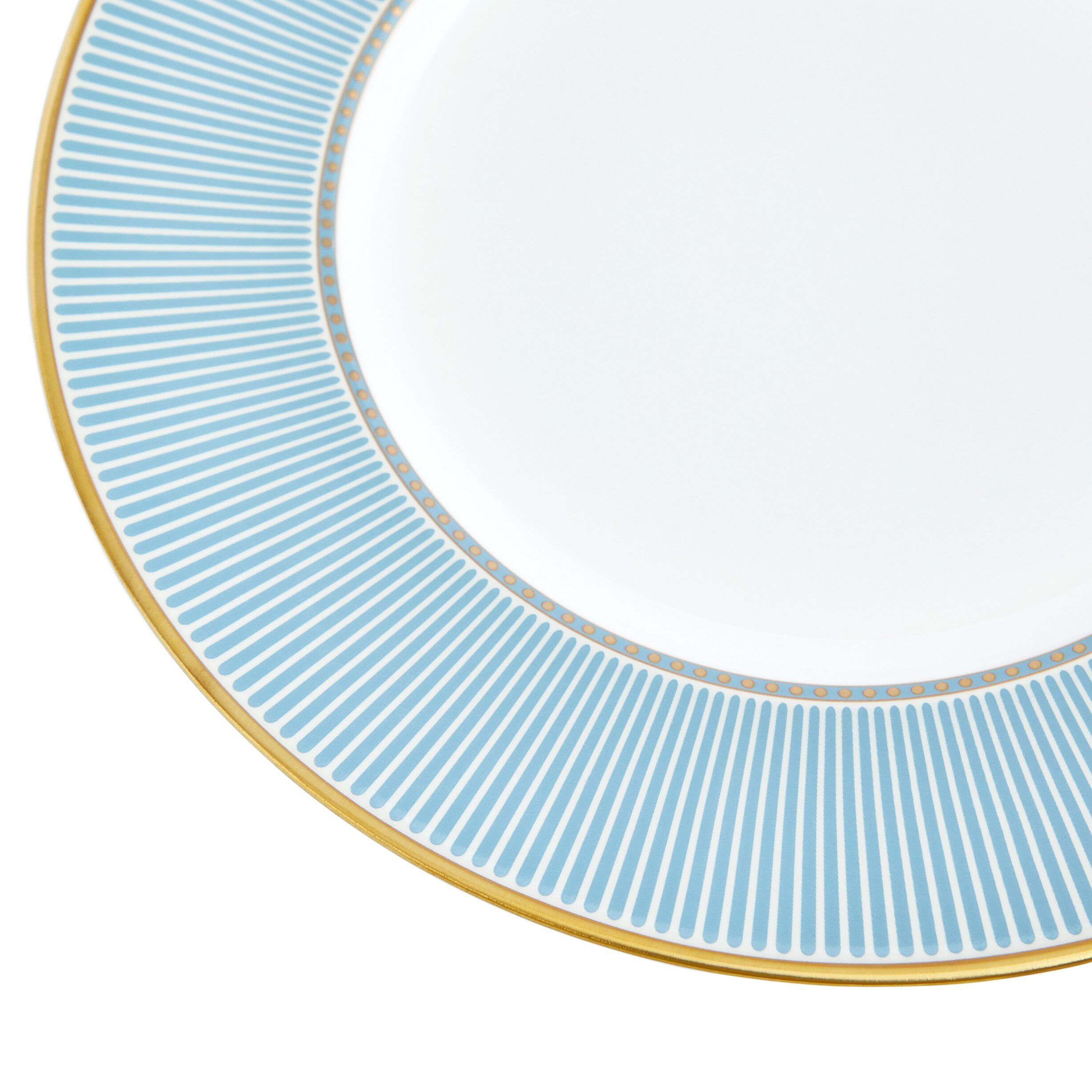 HELIABL Plate 22. 8cm 8. 9in BLU