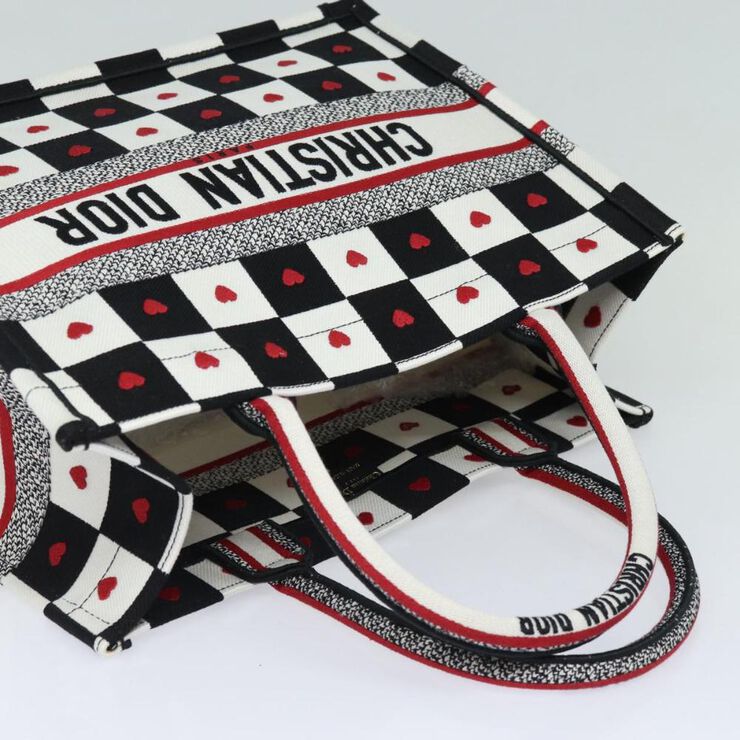 Dior Book Tote