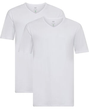 Morley v-neck SS 2-pack GOTS