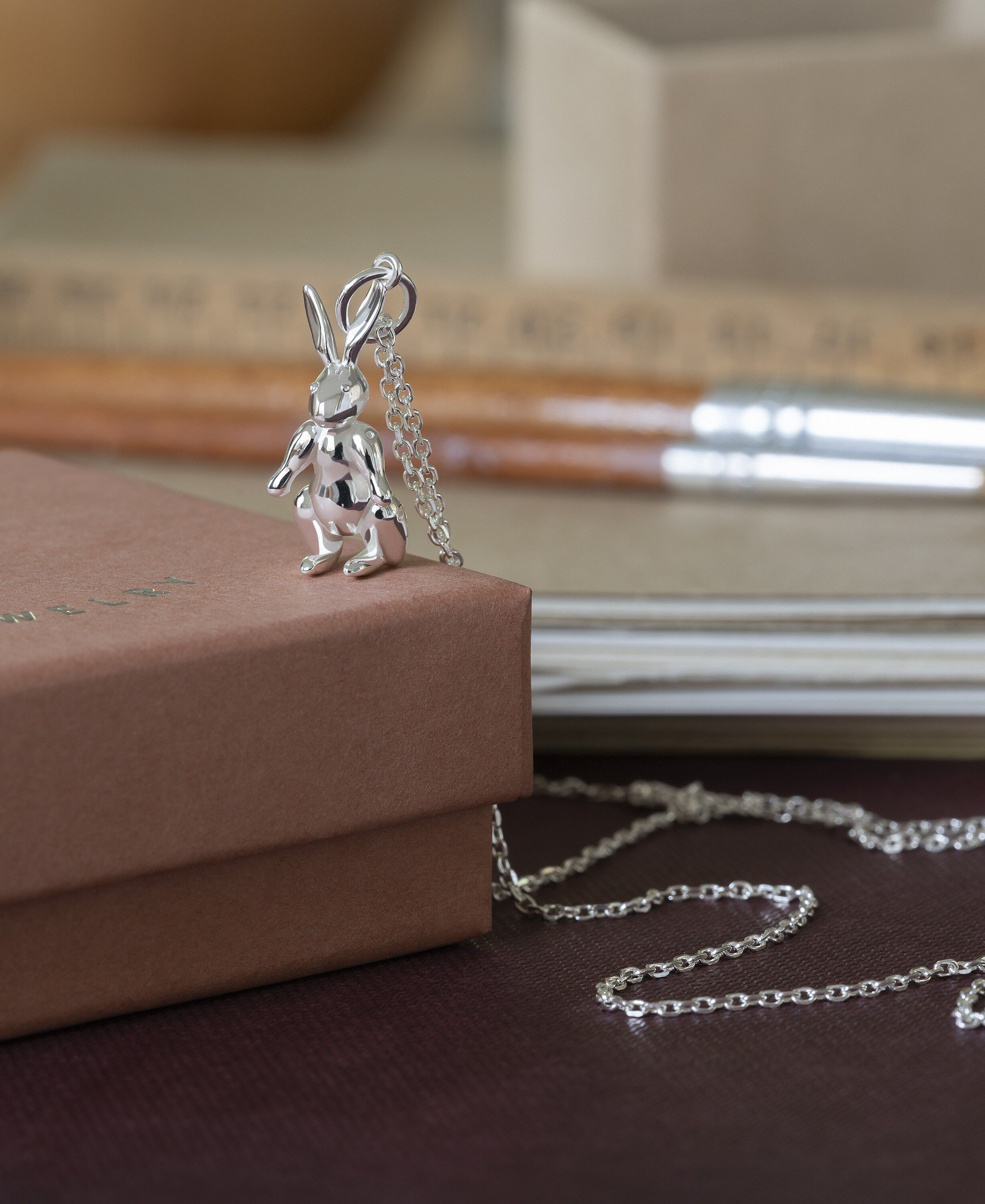 Kaninen i s&oslash;lv uden k&aelig;de