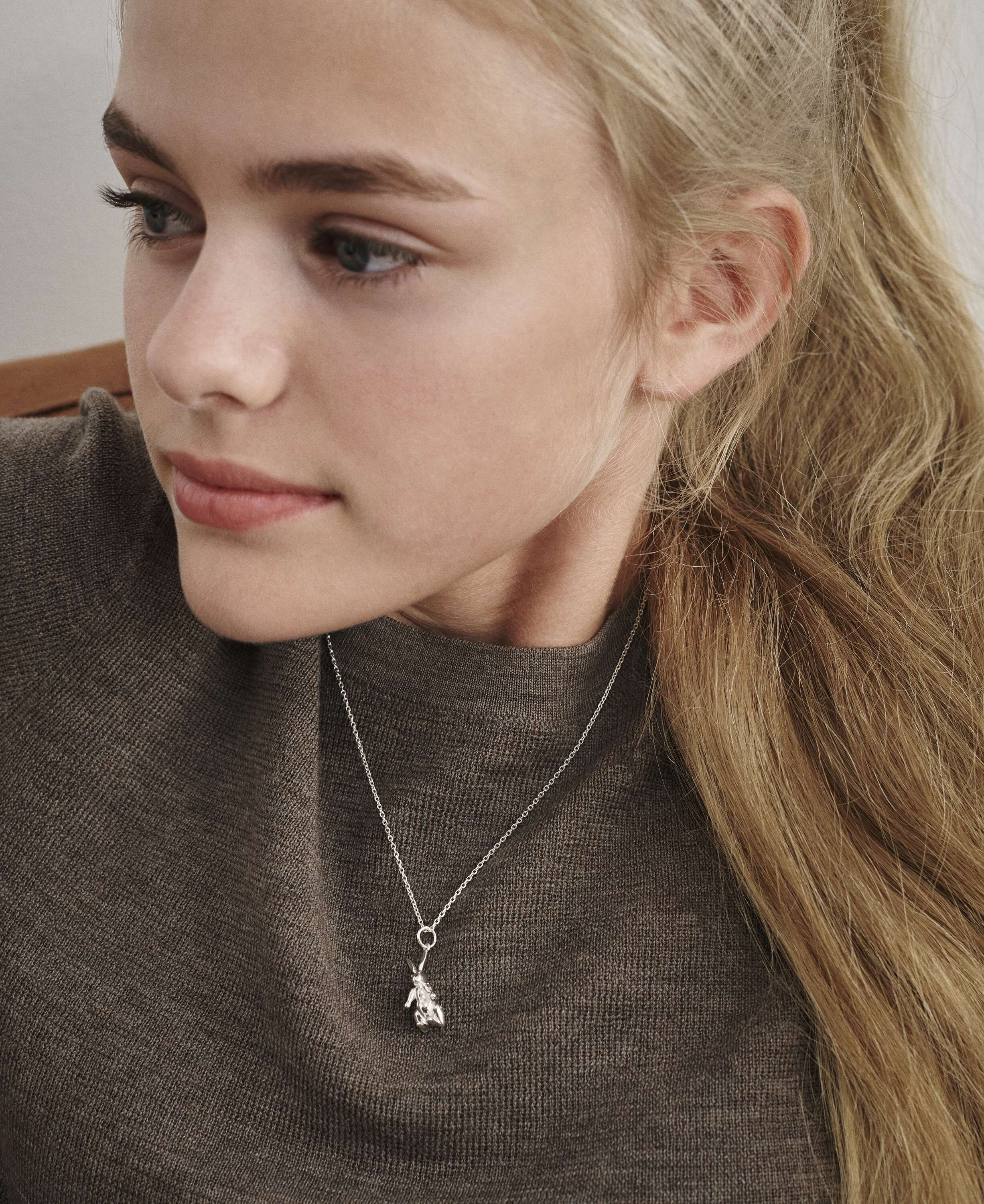 Kaninen i s&oslash;lv uden k&aelig;de