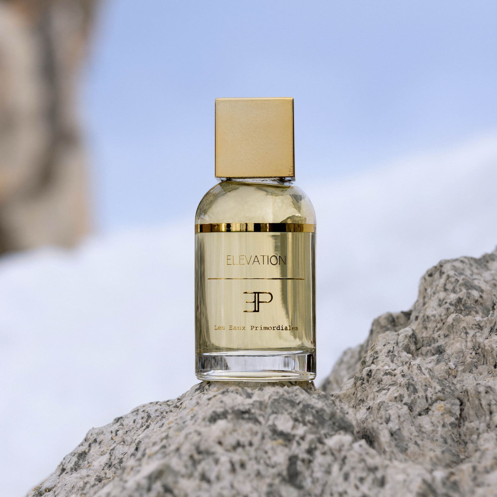 LES EAUX PRIMORDIALES Elevation 100 ml.