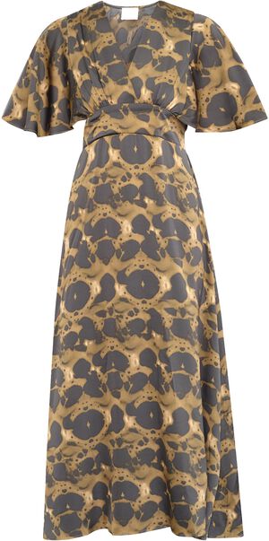 GISELA-DR36