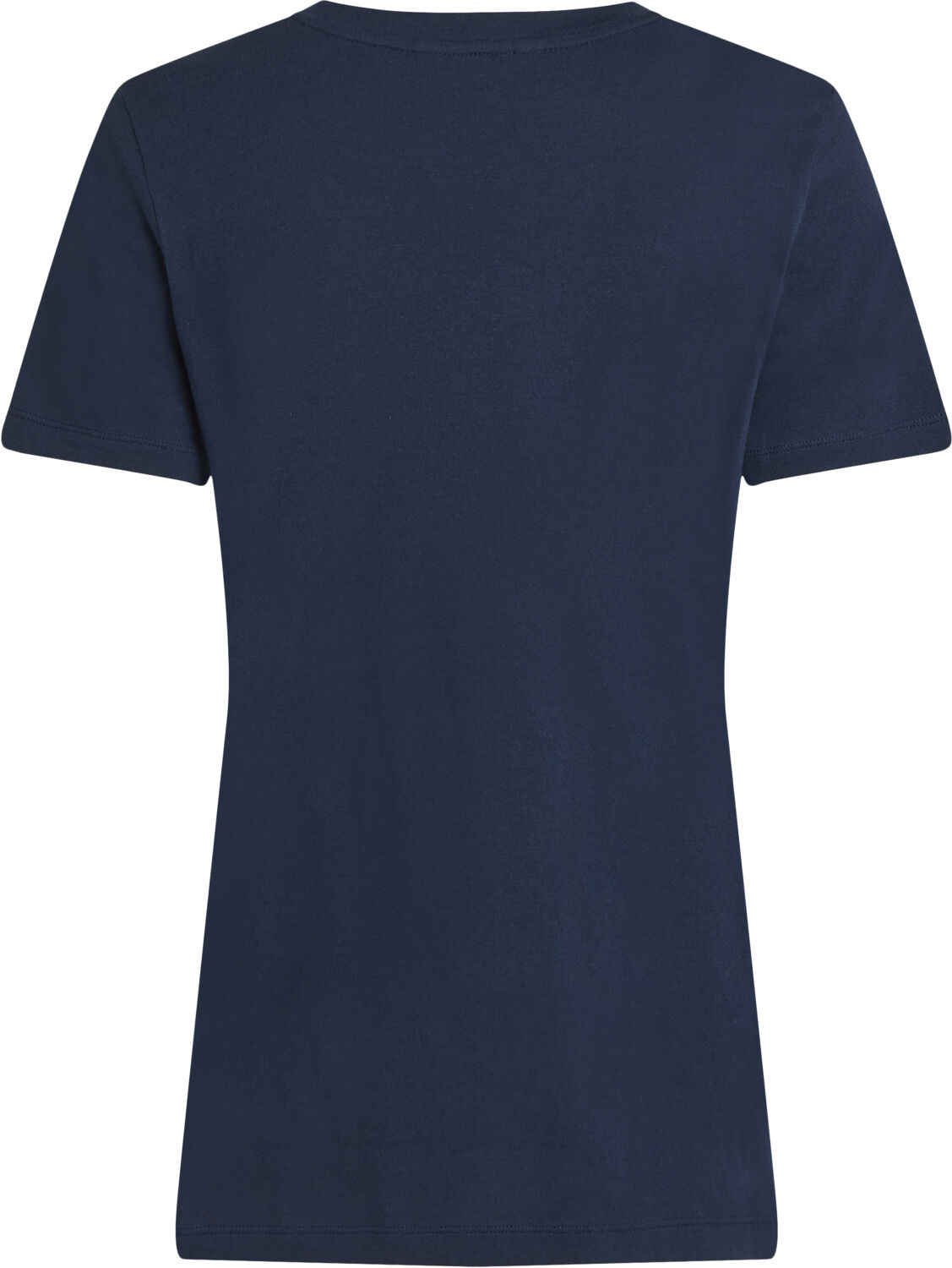 REG CORP LOGO C-NK SS