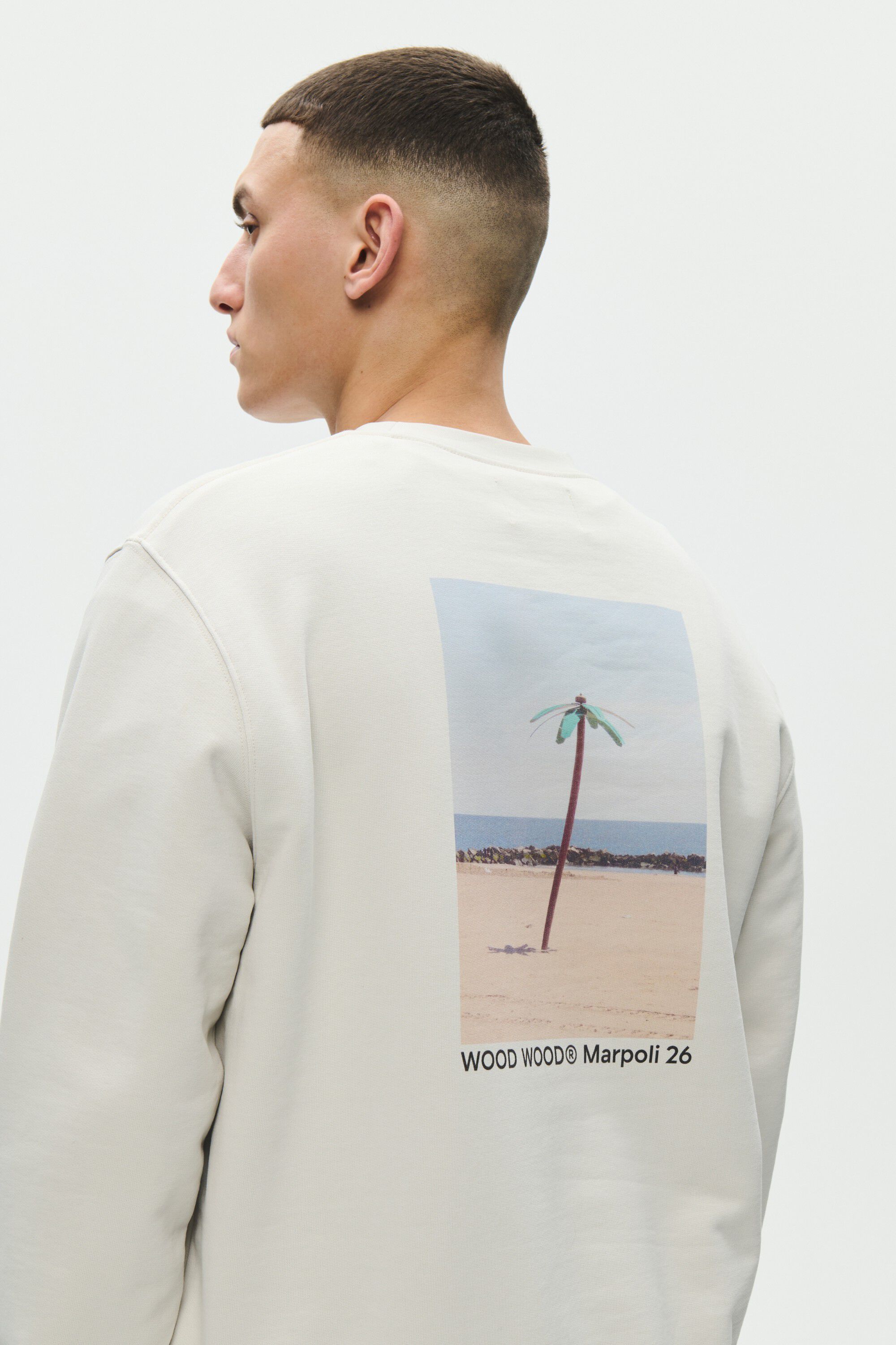 WWColter palm crew 25429