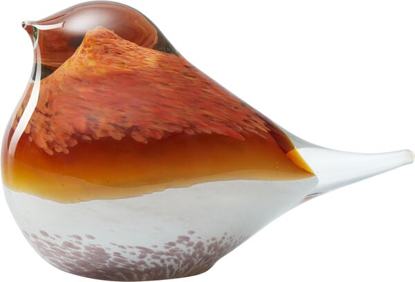 GLASS BIRD ATLAS ORANGE/PINK