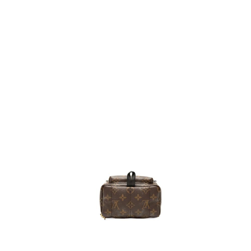Louis Vuitton Palm Springs