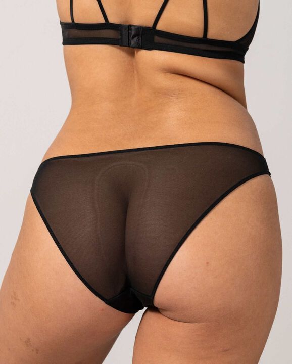 Mesh Bikini Briefs