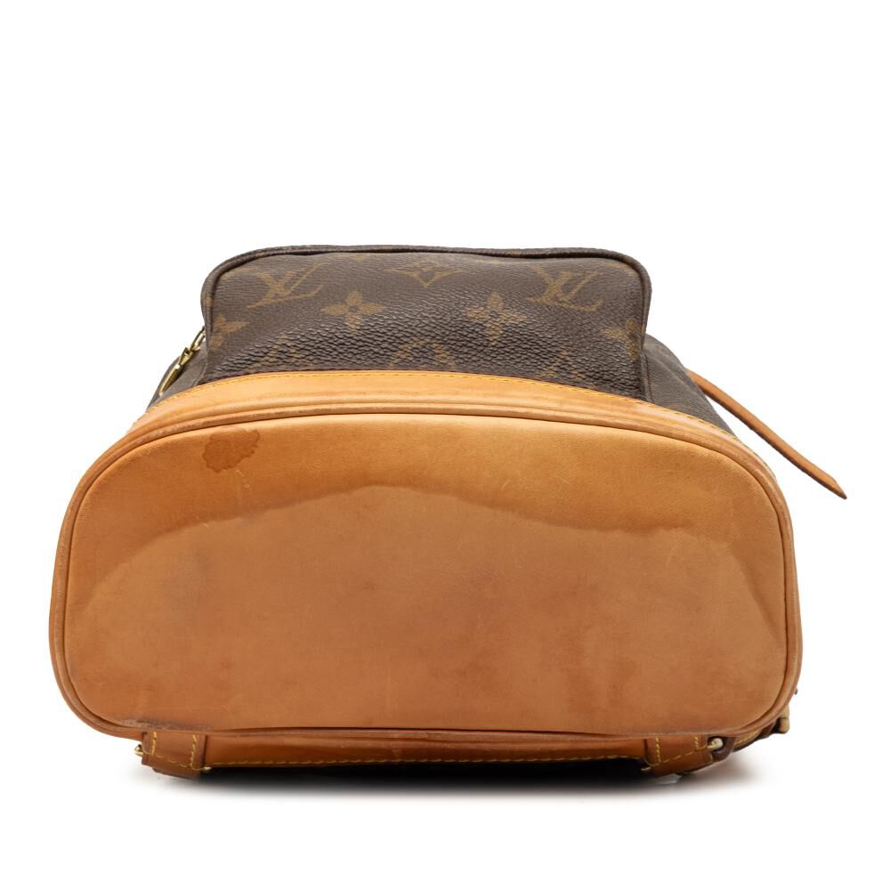 Louis Vuitton Montsouris