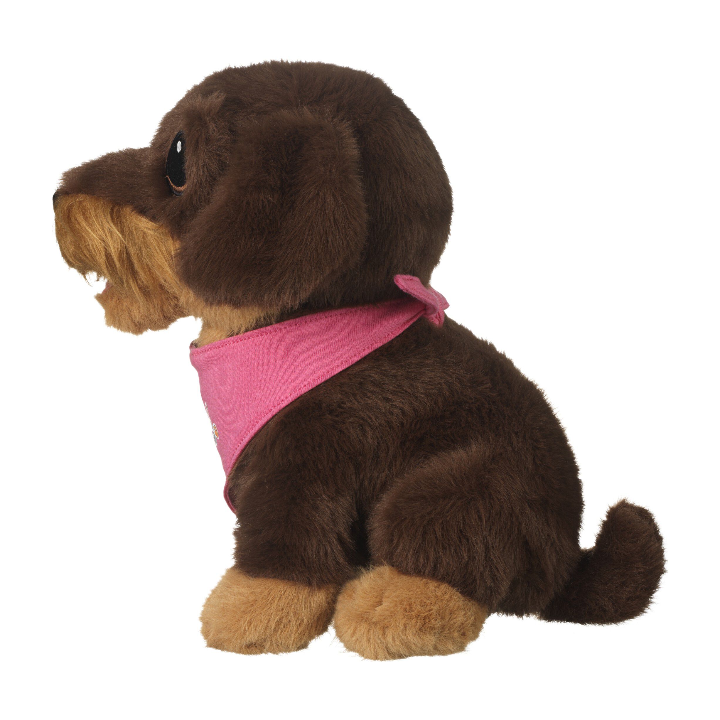 DR Hundebanden Messi, Ply