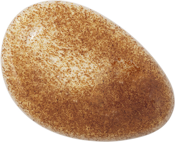 Hand Soap & Scrub 350 ml