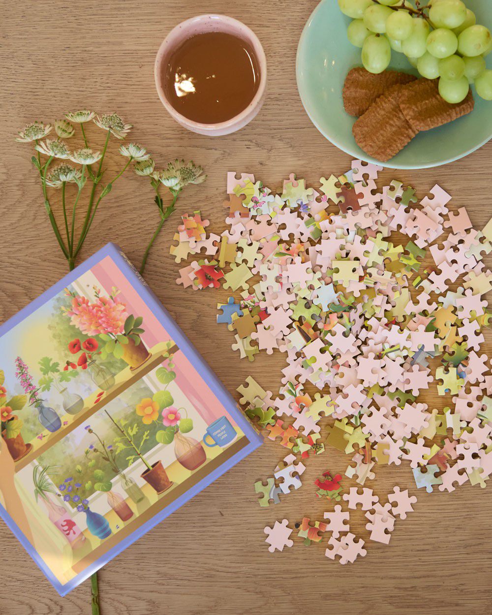 PLANTS & ME - puslespil med 500 brikker