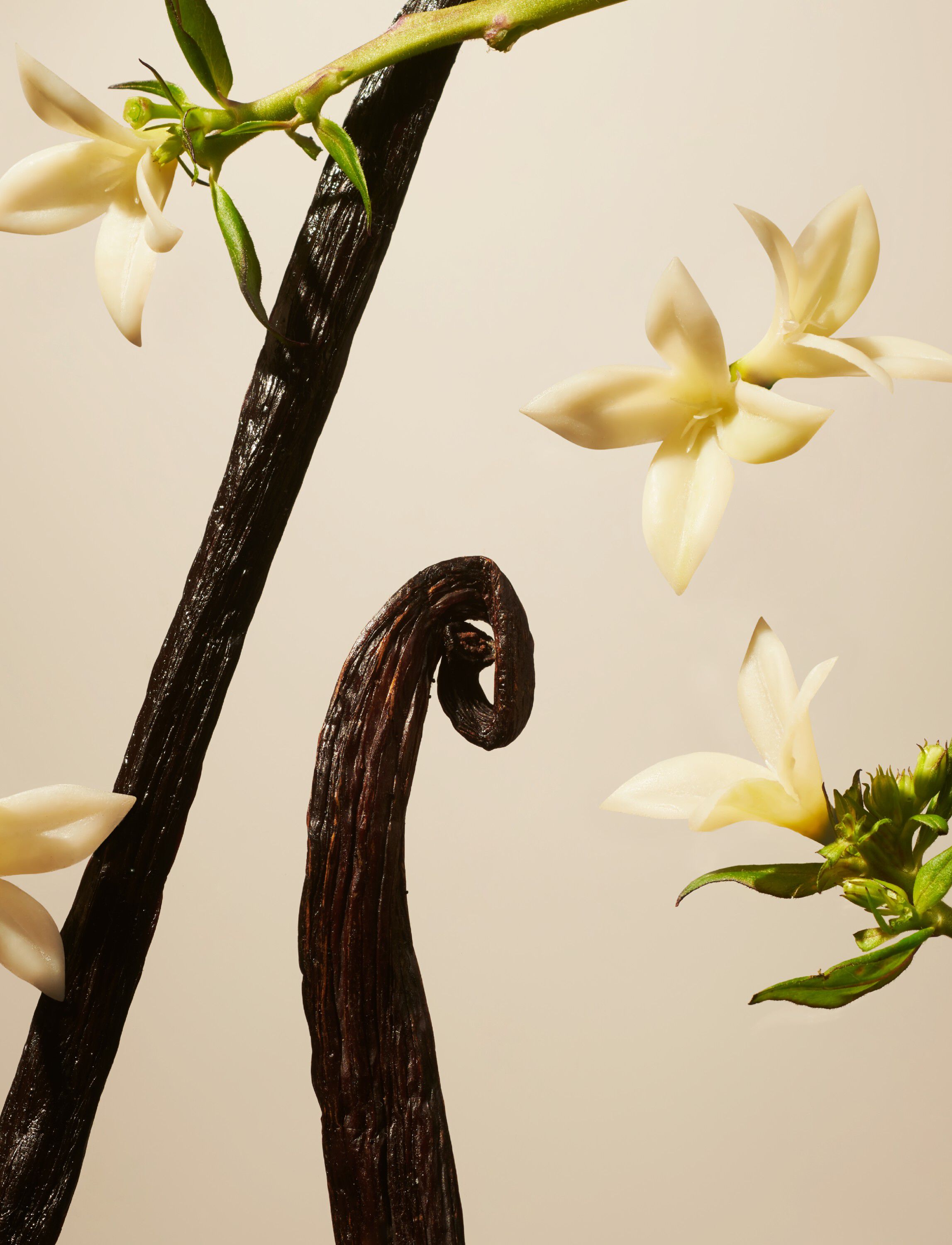 Private Collection - Suede Vanilla