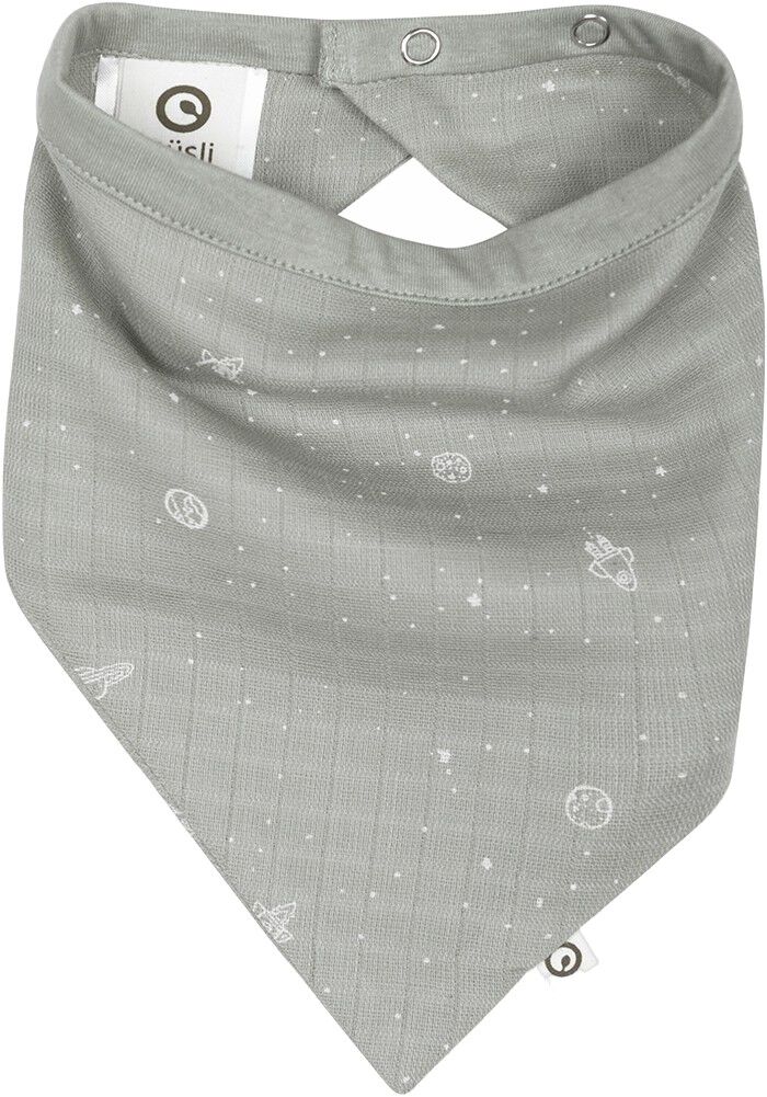 Cosmos Muslin Bib