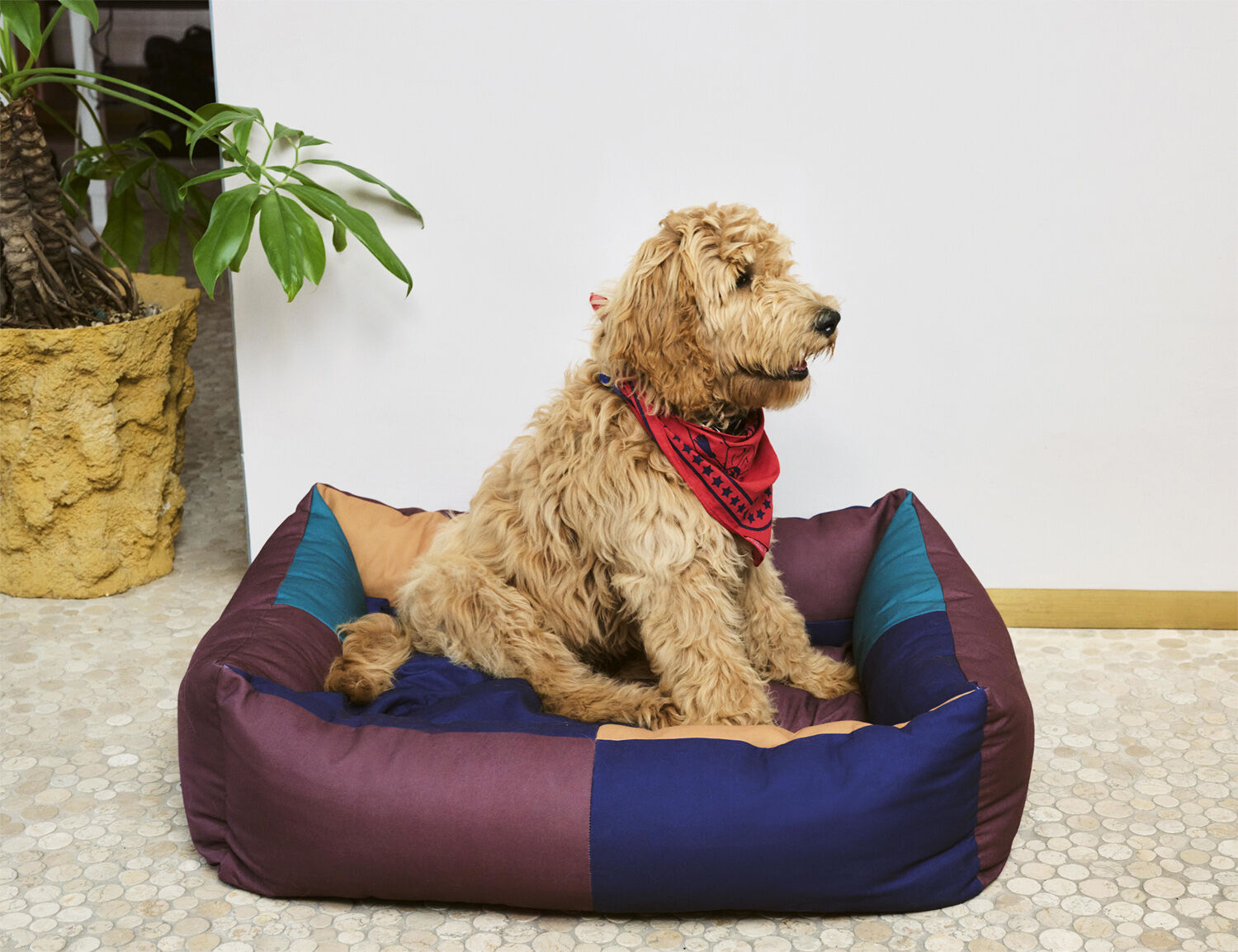HAY Dogs Bed-Large-Burgundy, green