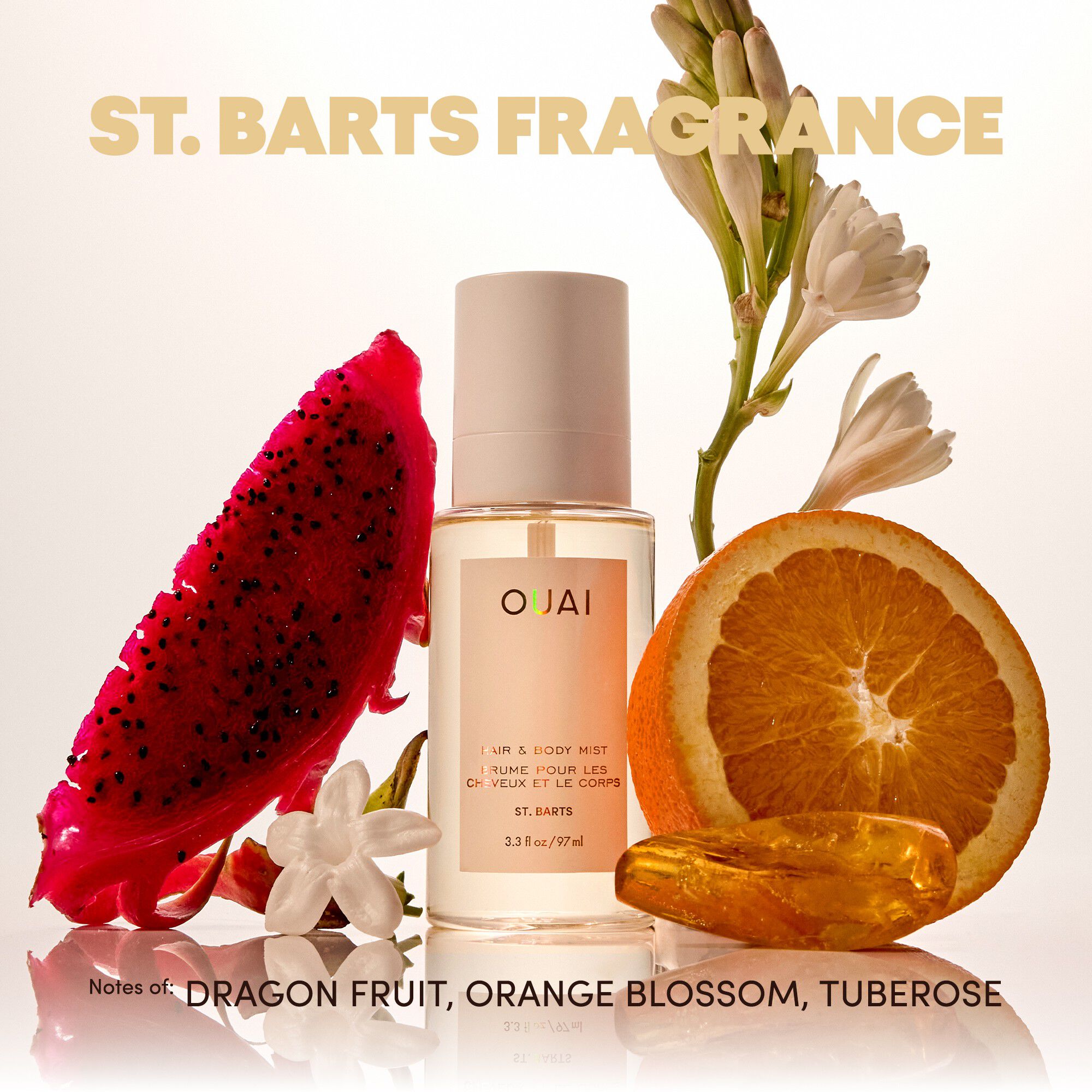 INSTANT OUAI-CATION KIT