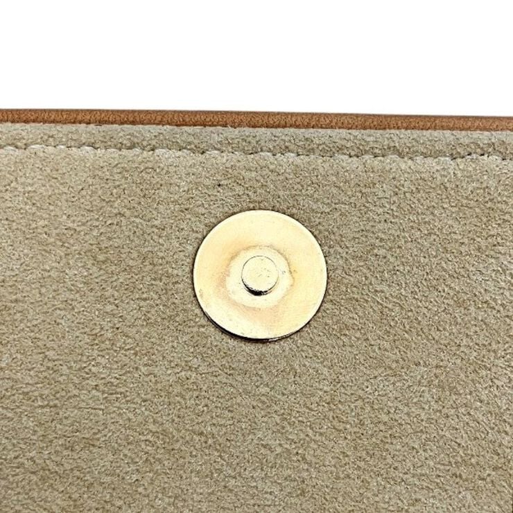 Louis Vuitton Florentine Pochette