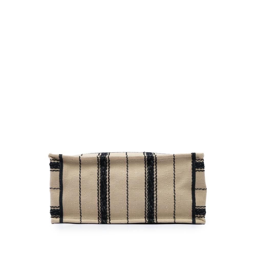 Dior Book Tote
