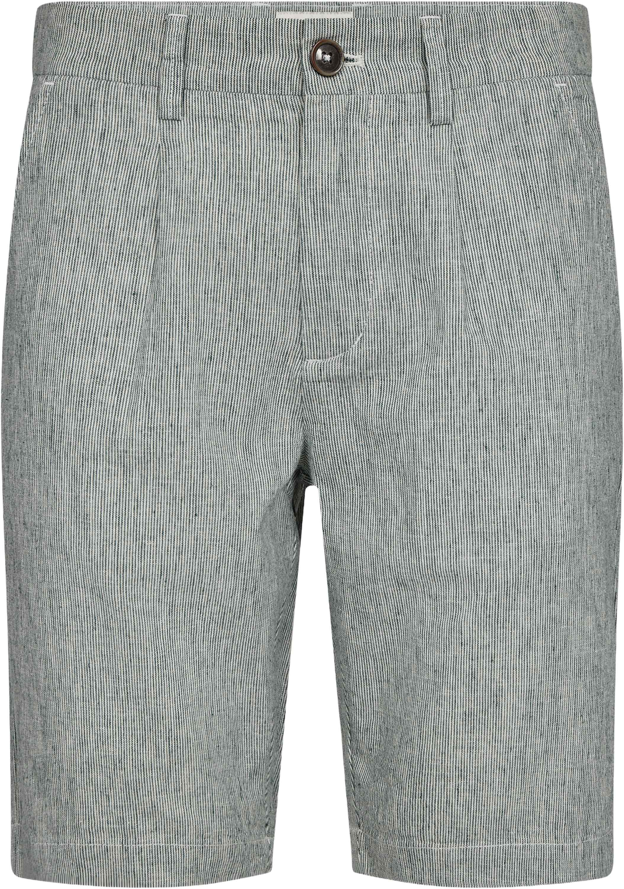 BS Darion Regular Fit Shorts