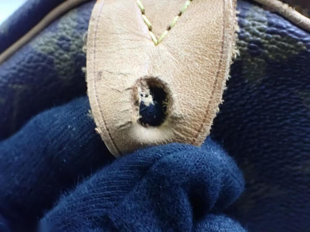 Louis Vuitton Handbag