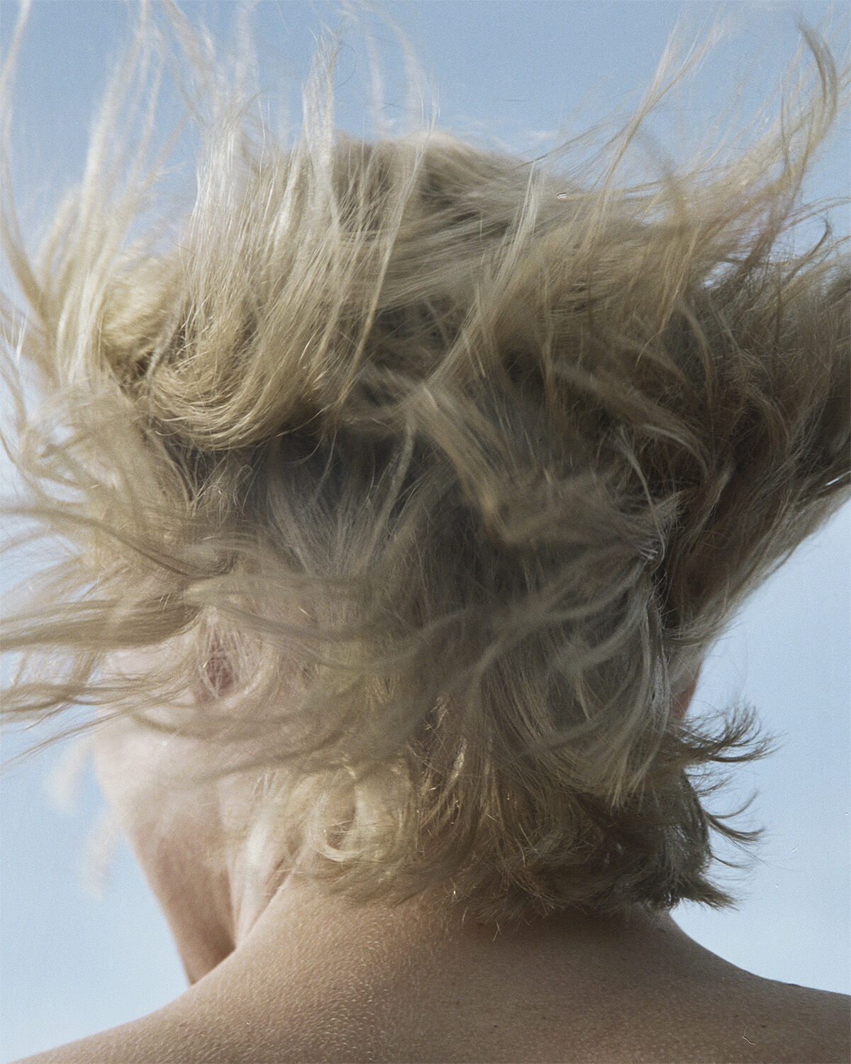 231 Balsam Bj&ouml;rk 450 ml