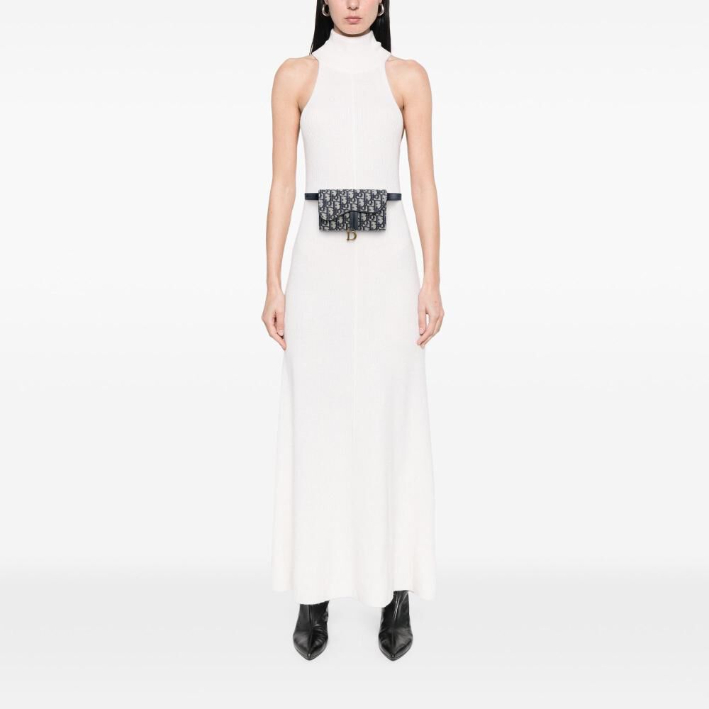 Dior Belt Bag