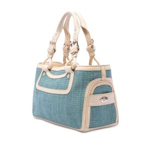 Celine Handbag