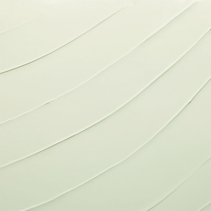 DayWear Anti-Oxidant Cream SPF 15