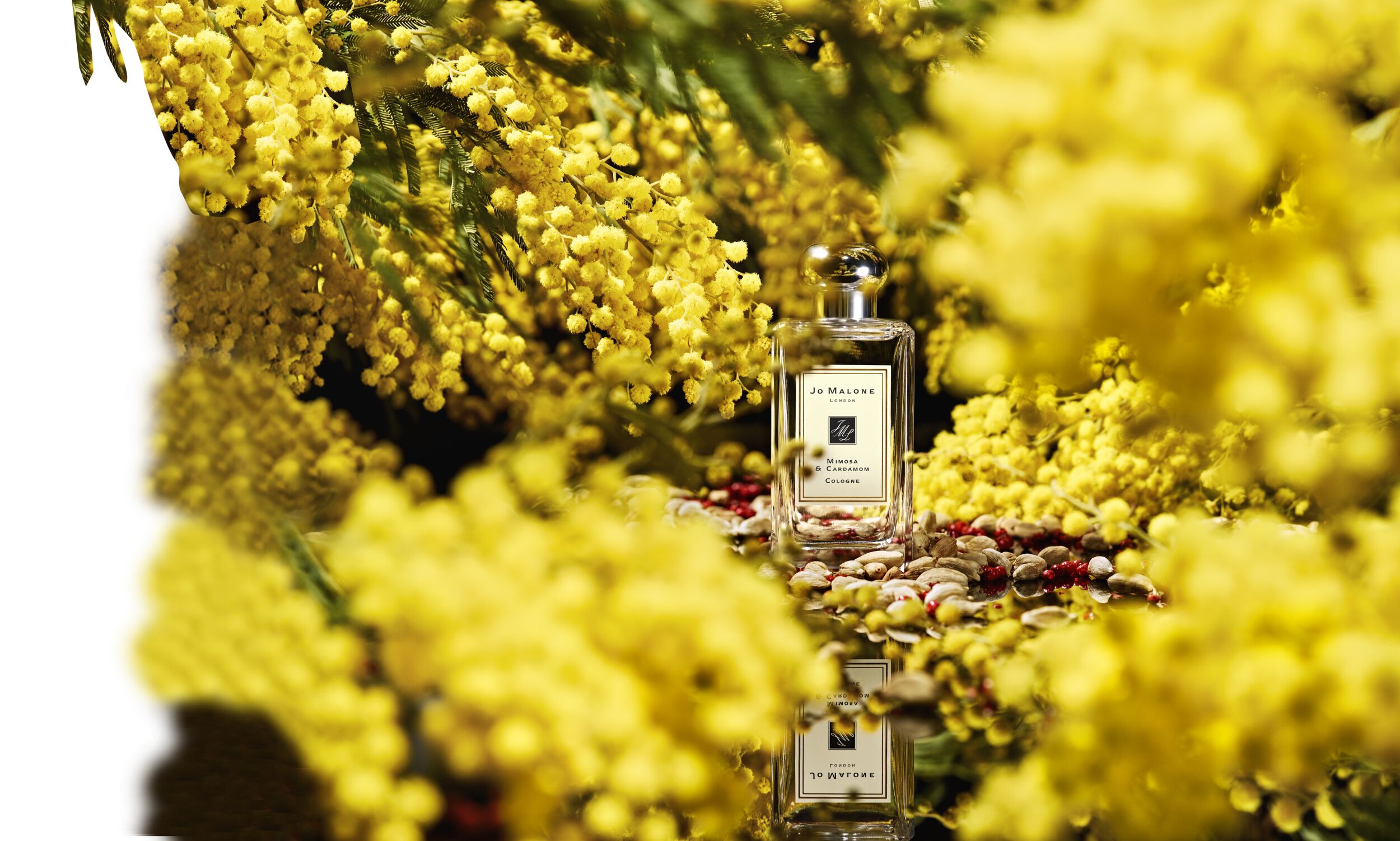 Mimosa & Cardamom Cologne