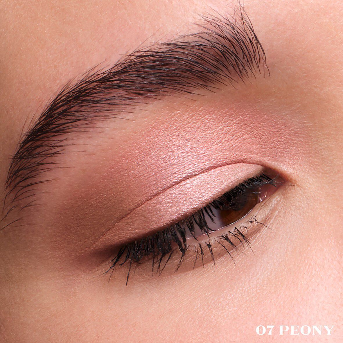 Dimensions Holo Nude Eyeshadow Palette Refill