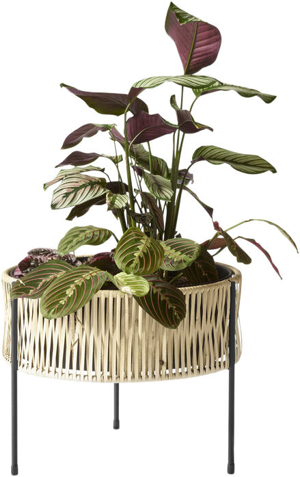 Umanoff, Planter, H 32,5