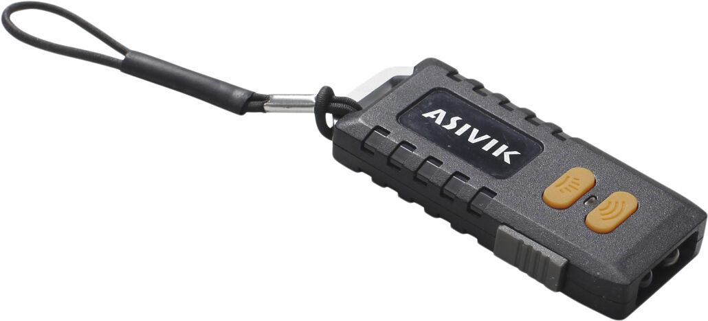 ASIVIK Lightbank 9900