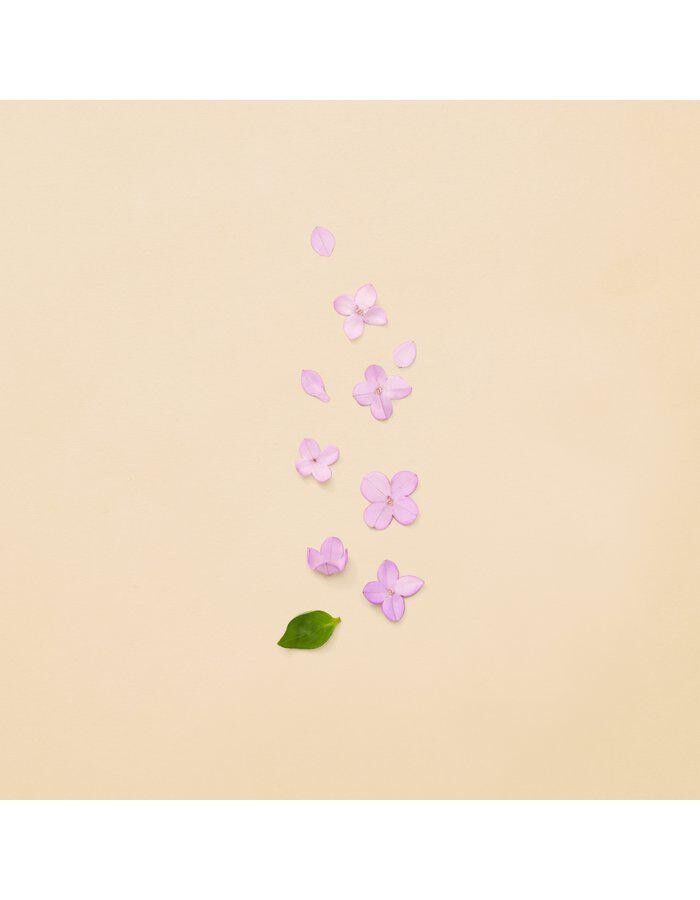 GUCCI Guilty Pour Femme Eau de toilette 50 ML.