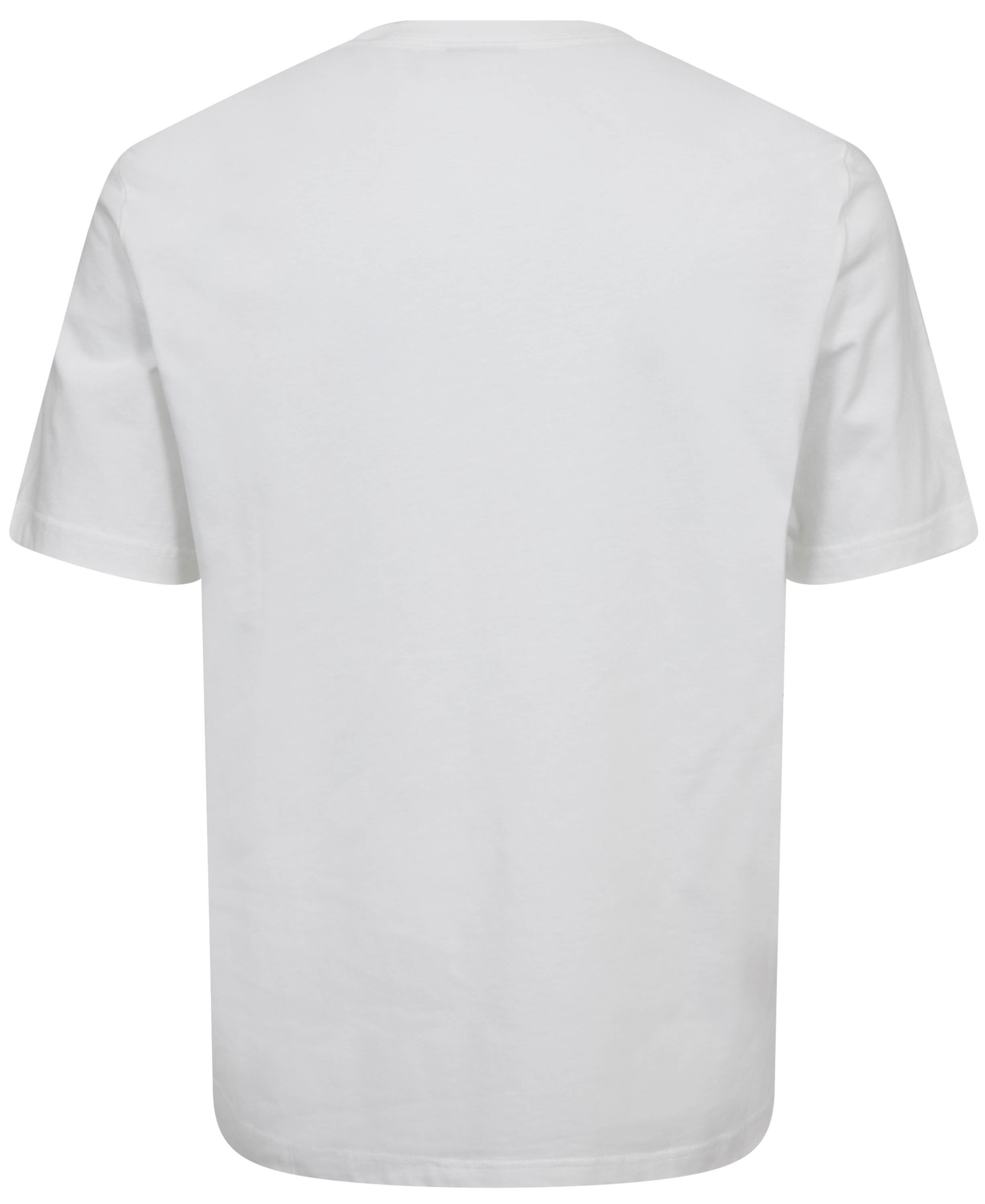MENS REG FIT T SHIRT LOLLIES