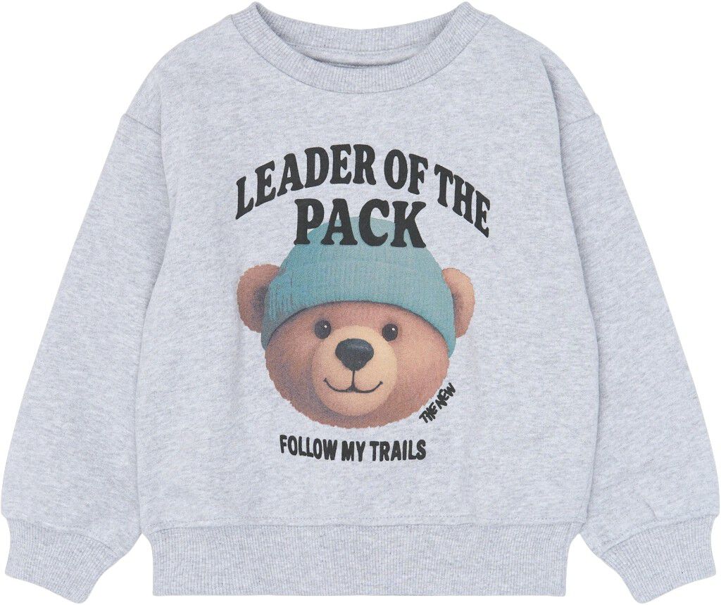 Sweatshirt fr&aring;n Tnstyvan Os