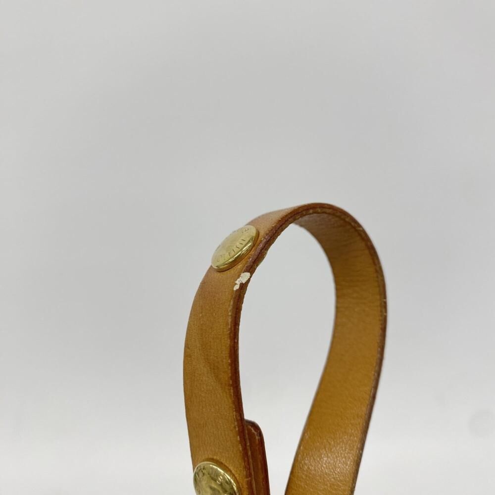 Louis Vuitton Florentine Pochette