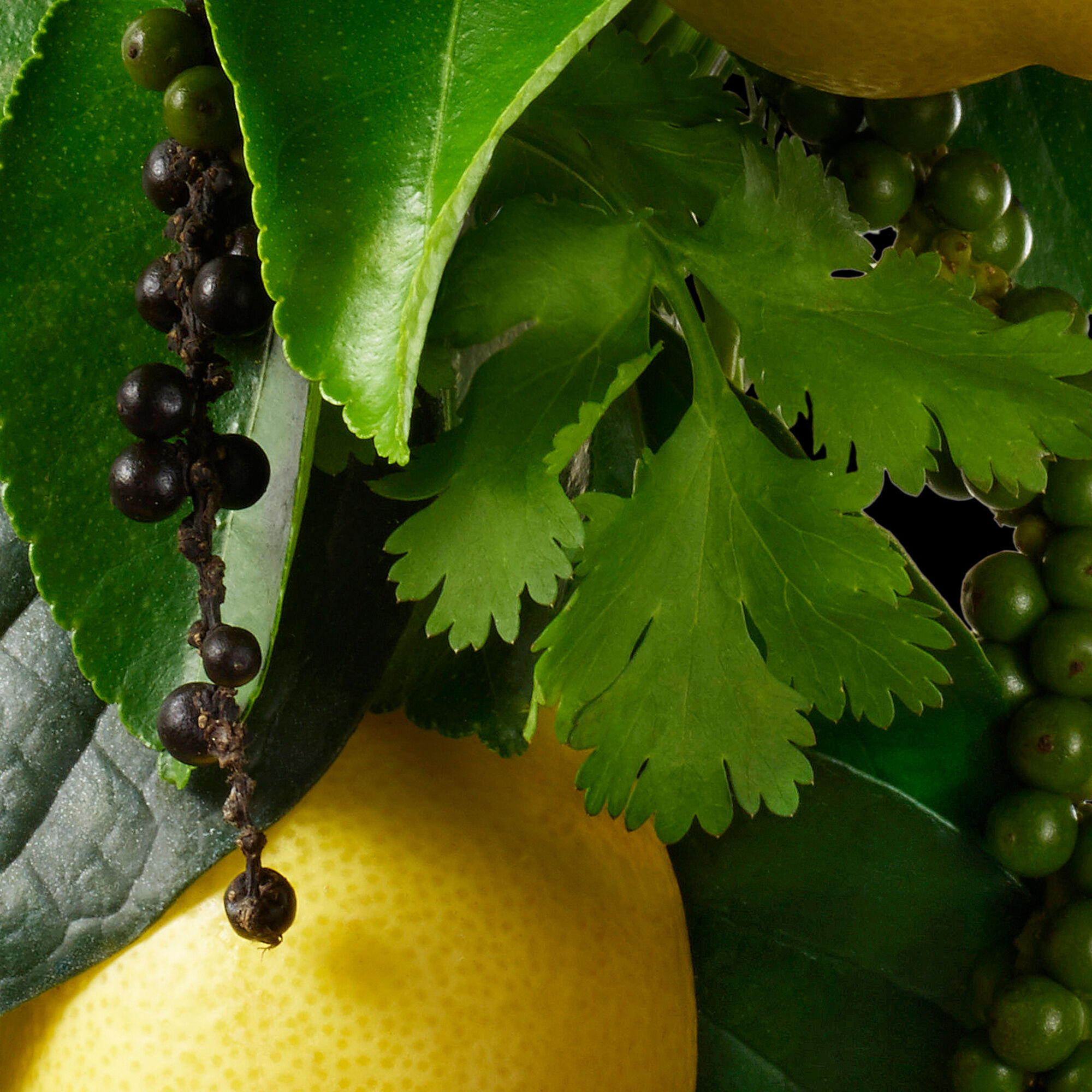 Re-charge Black Pepper Bath & Shower Gel
