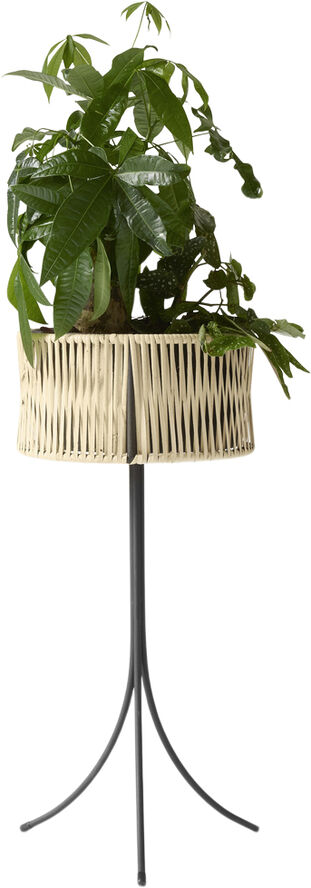 Umanoff, Planter, H 69