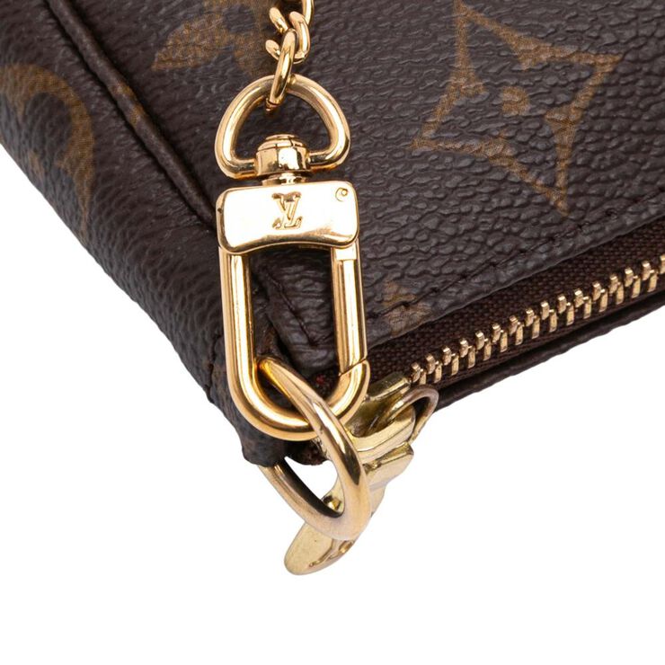 Louis Vuitton Pochette Accessoires