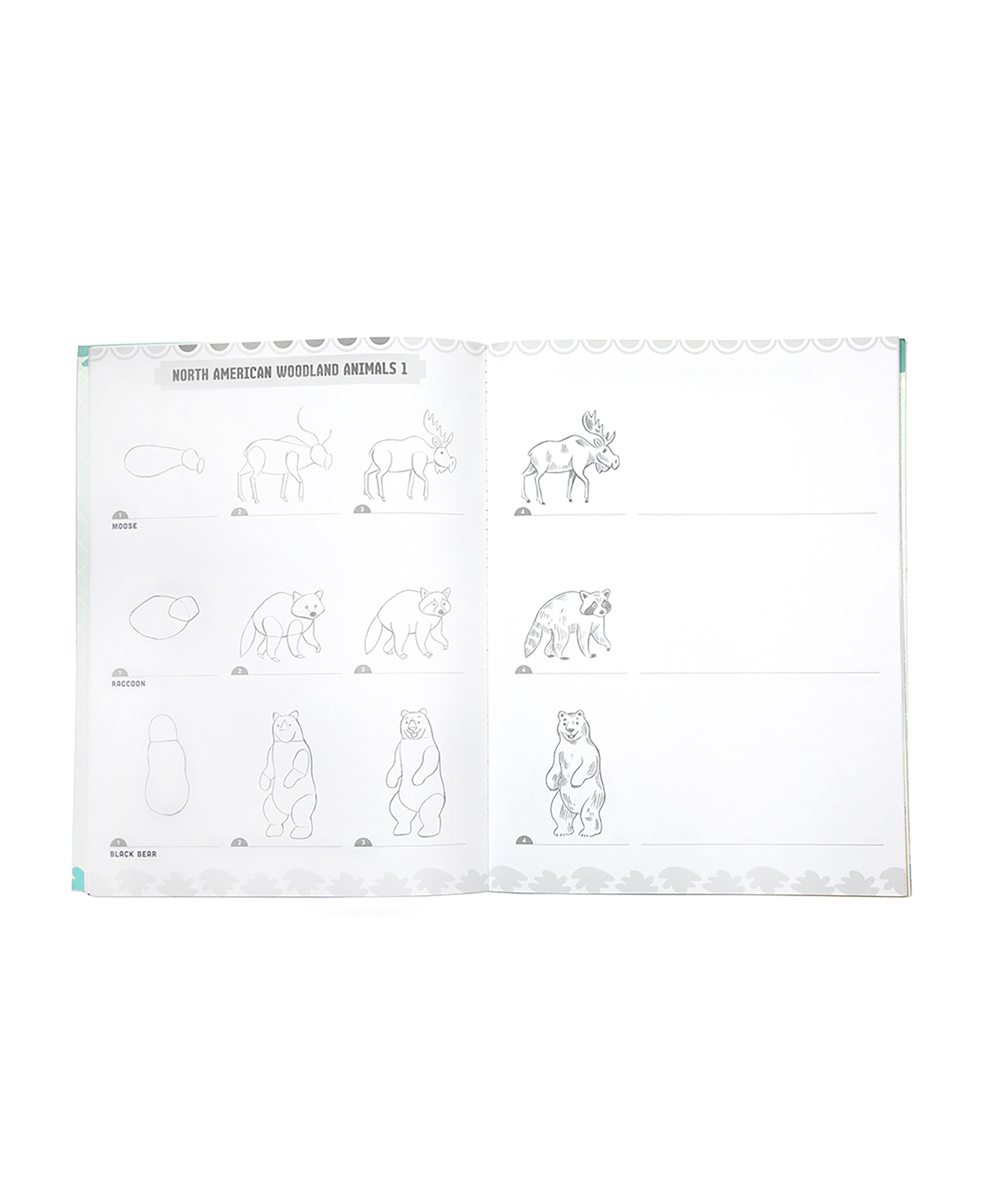 eeBoo - L&aelig;r at tegne - Vilde dyr