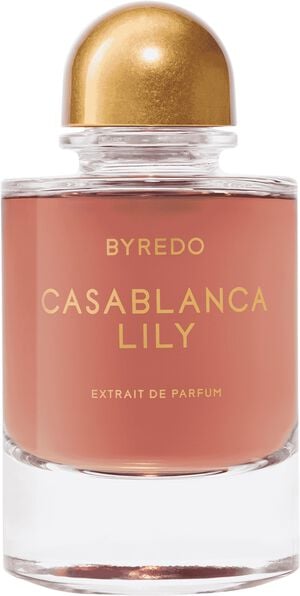 Night Veils Casablanca Lily
