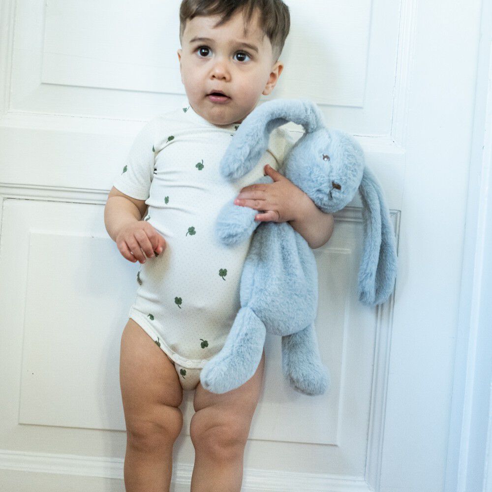 Houston tyngdebamse lille