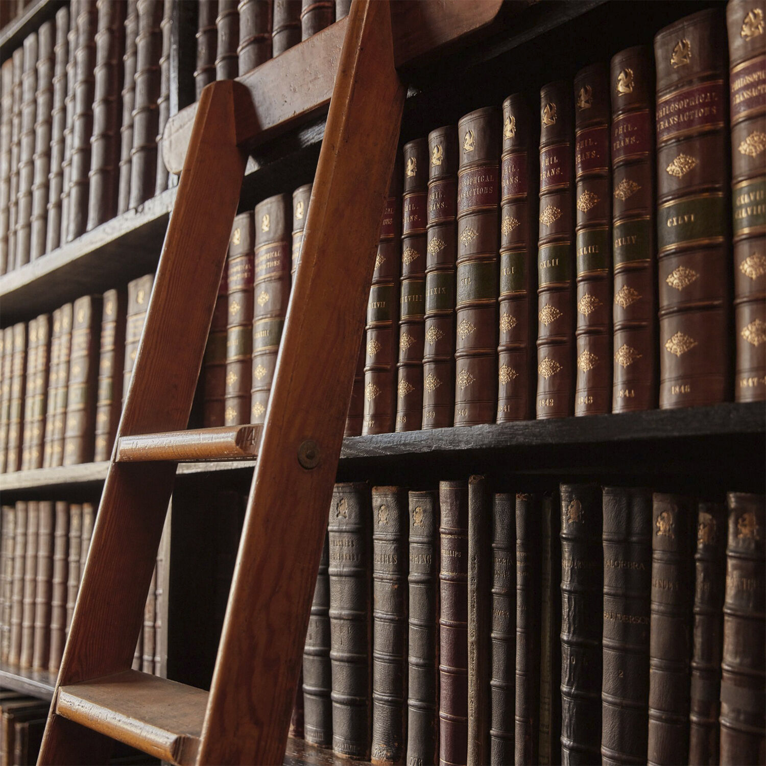 maison martin margiela whispers in the library
