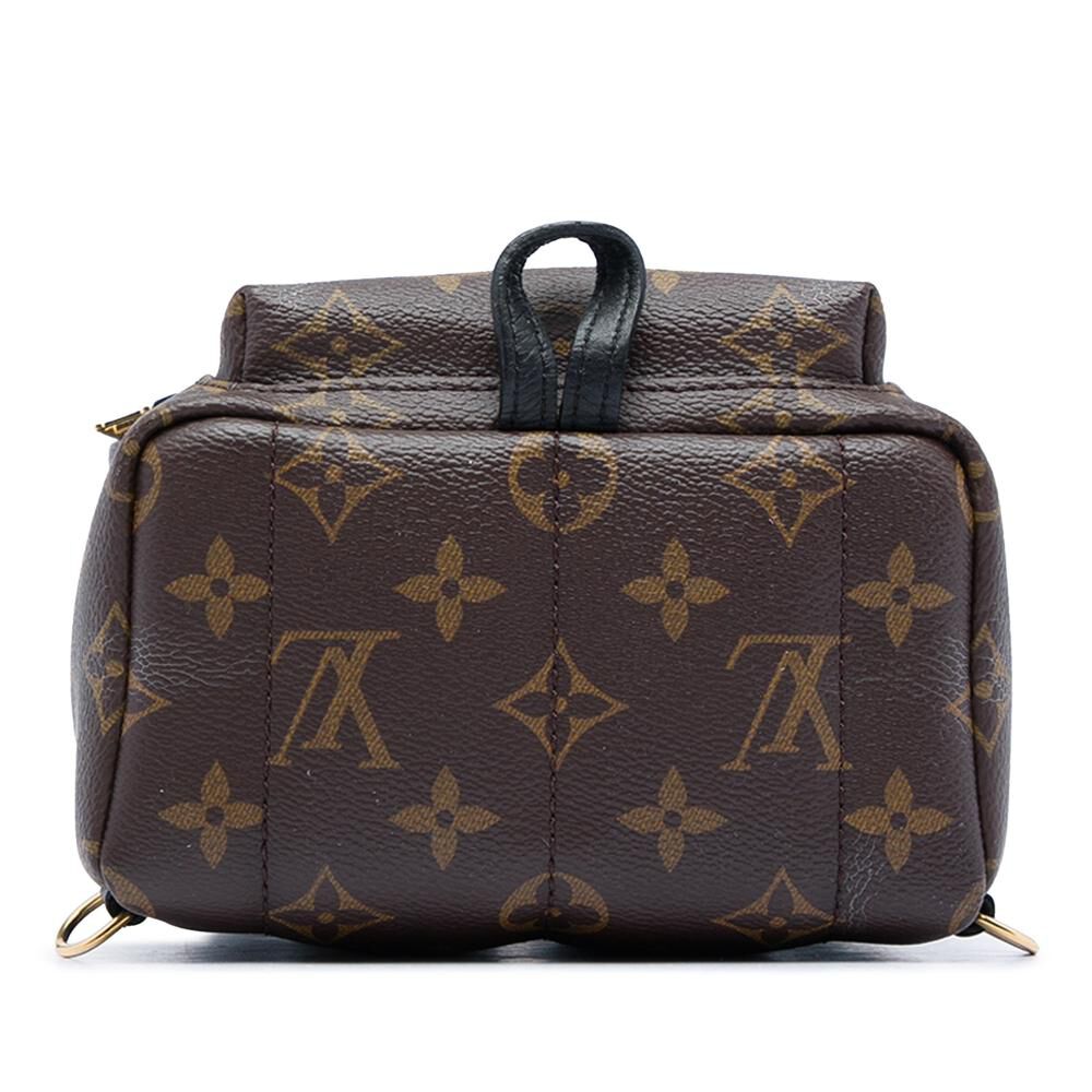 Louis Vuitton Palm Springs