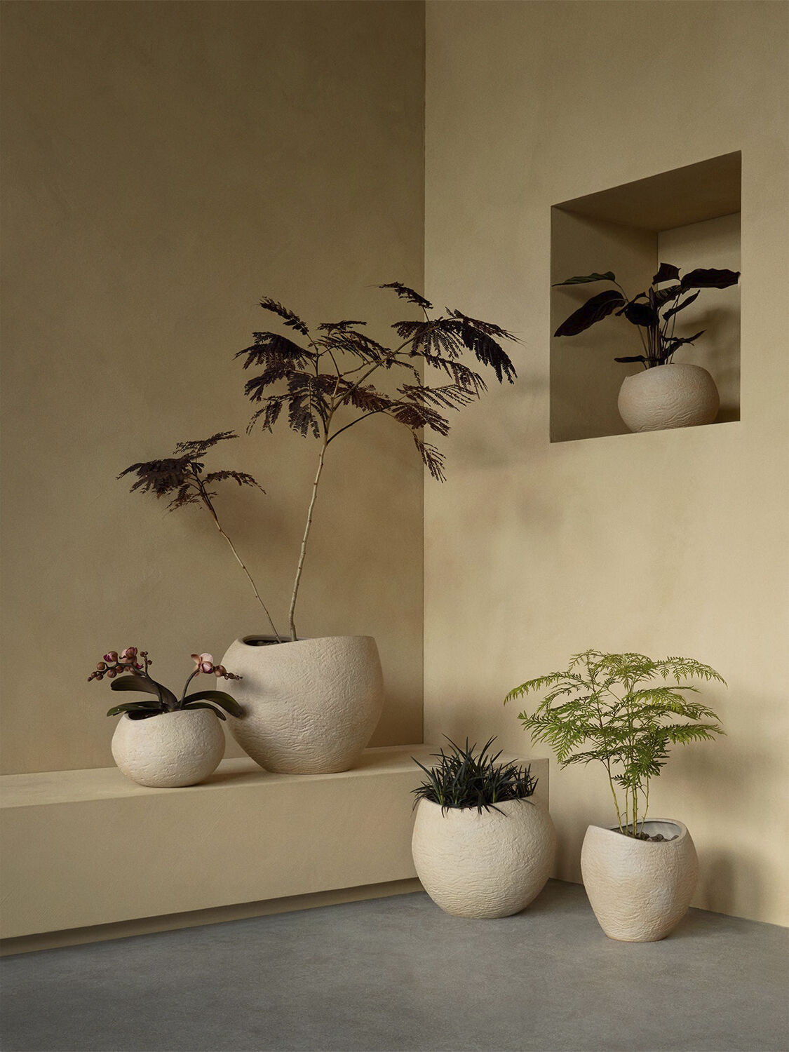 Plantas Planter, H 26, Ivory